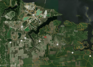 30 Acres Timberland for Sale Near Aurora, NC